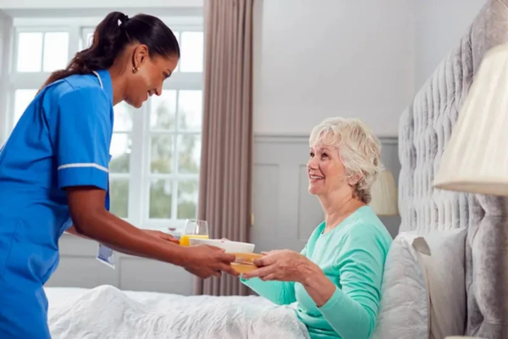Palliative Care Small 2